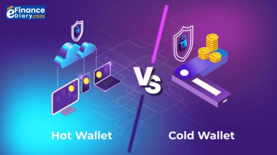 The Safest Crypto Wallets in 2025 (Hot vs Cold Compared)